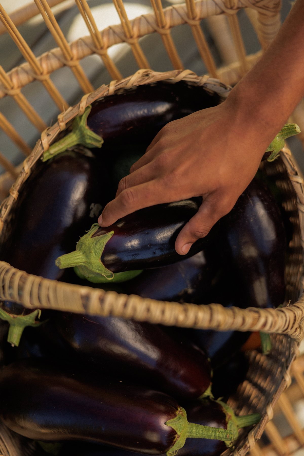 Een mand vol geoogste aubergines
