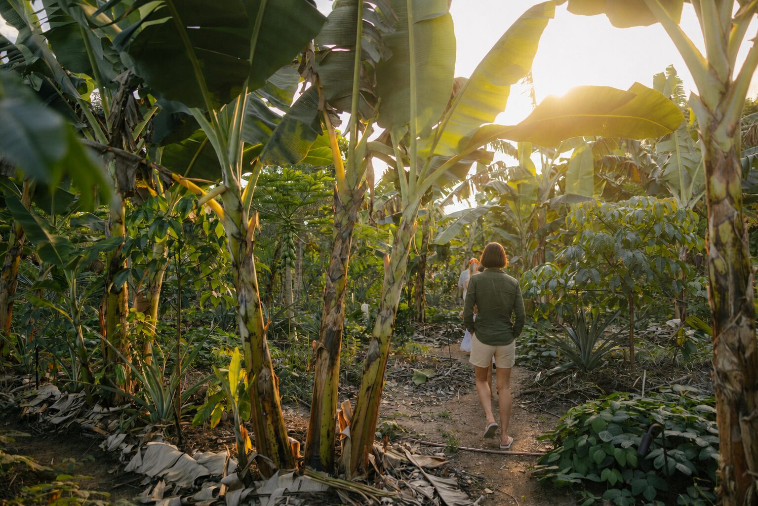 Wandelen tussen de bananenplanten